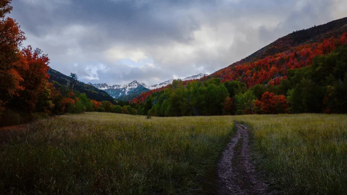 Le début du chemin